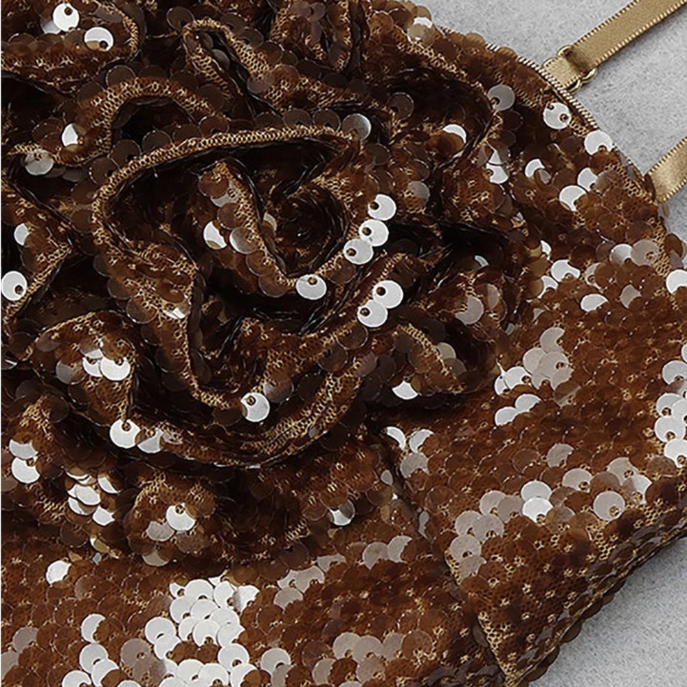 Brown Sequins Maxi Dress - Picture 7 of 8